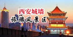 视频,视频,操逼,操个小逼,太爽了去中国陕西-西安城墙旅游风景区