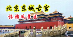 大吊日骚逼出水视频中国北京-东城古宫旅游风景区